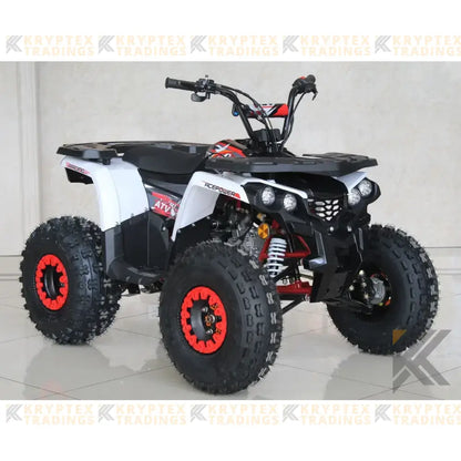 ACE TH125 Tomahawk Children's ATV, 4-Stroke 125cc Kryptex Golf Carts