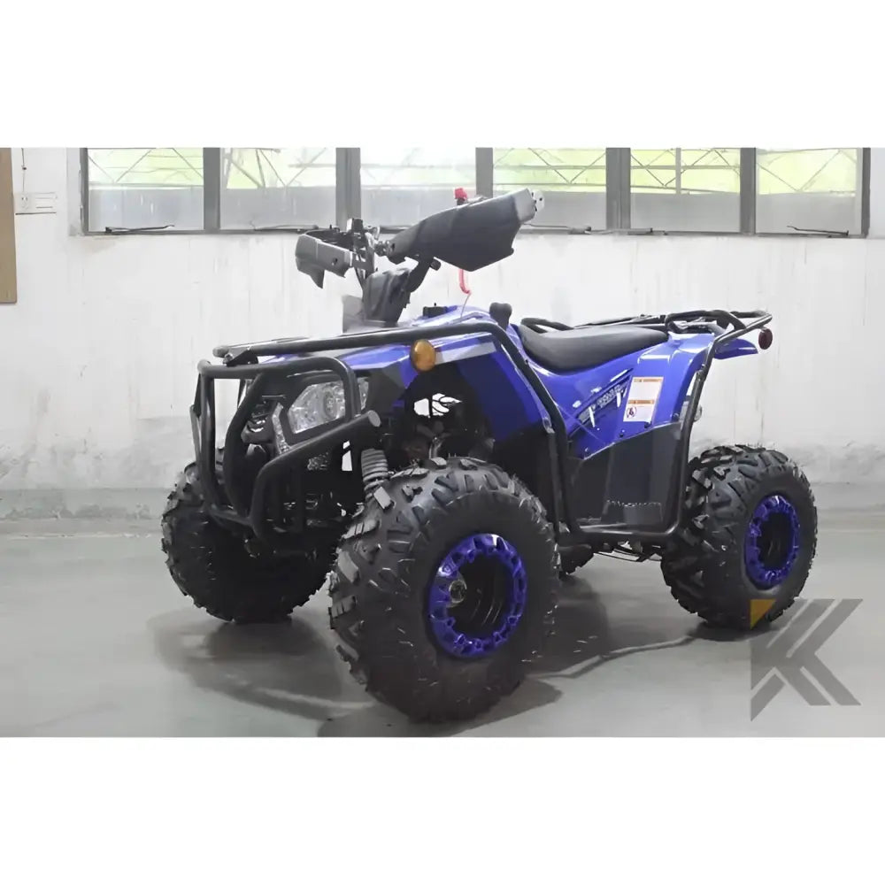 Dongfang Grizzly 200 ATS Youth ATV Kryptex Golf Carts