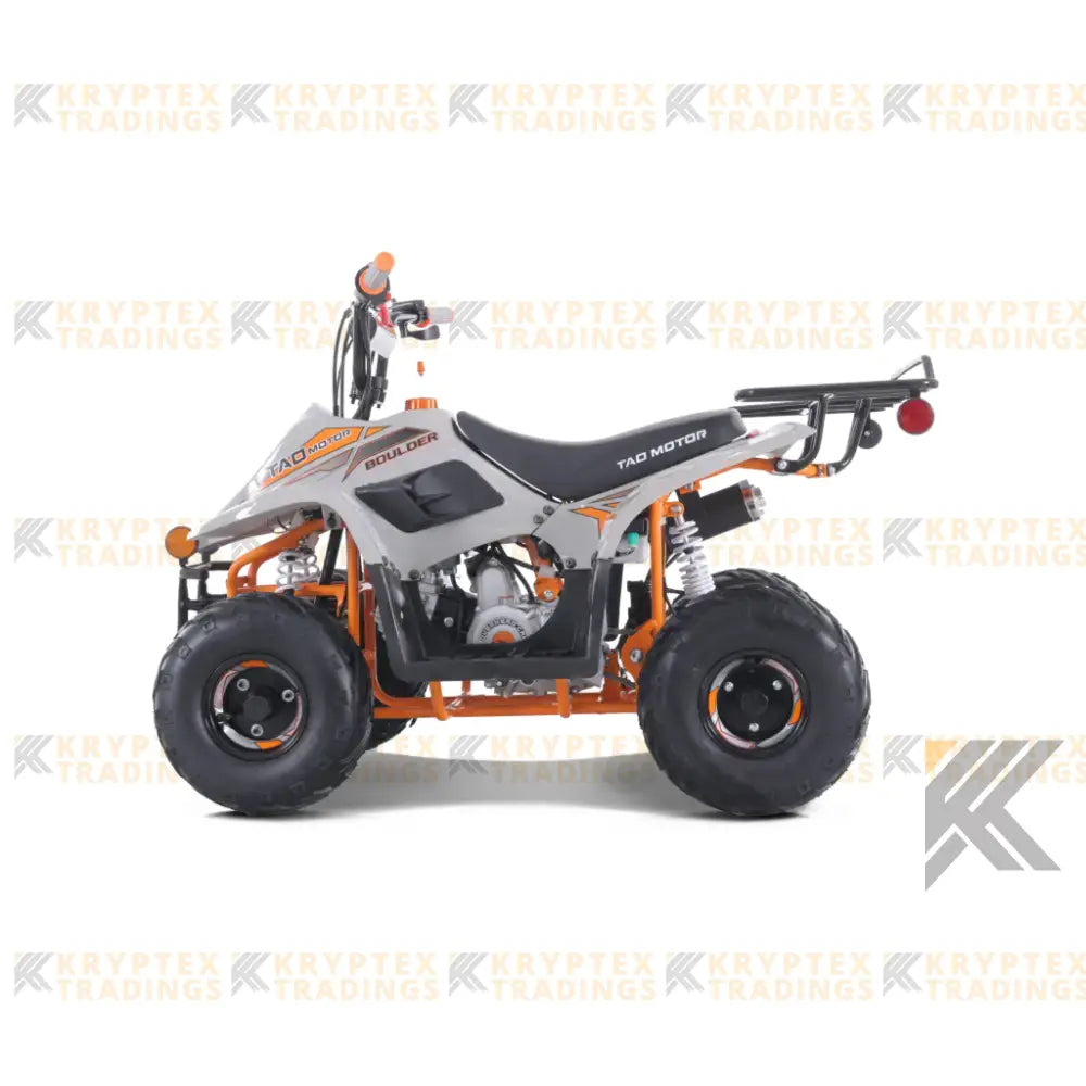Tao Tao Boulder 110 Children's ATV, 4-Stroke 110cc Kryptex Golf Carts