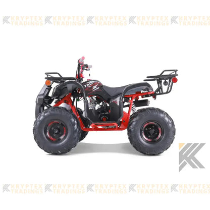 Tao Tao T125 Children's ATV, 4-Stroke 125cc Kryptex Golf Carts