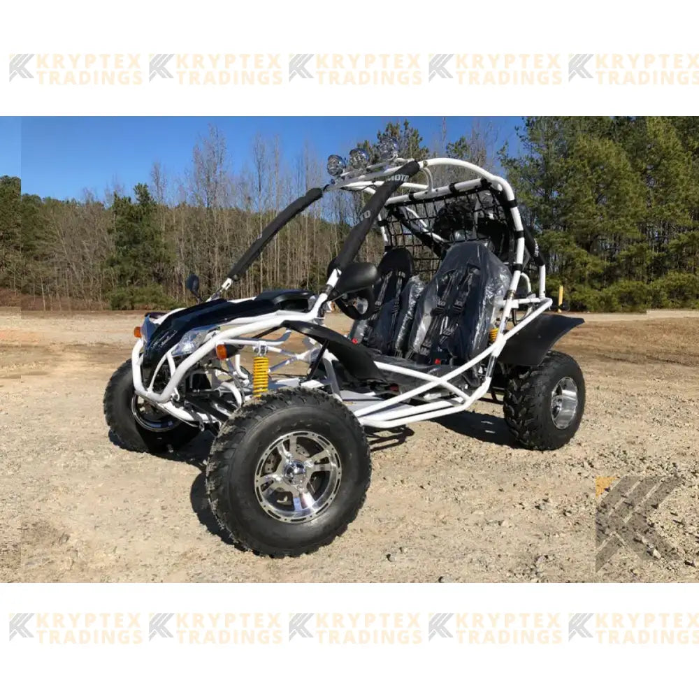 Dongfang Jaguar Adult Go-Kart Buggy DF200GKA, Big Bore 200 PowerStroke Kryptex Golf Carts