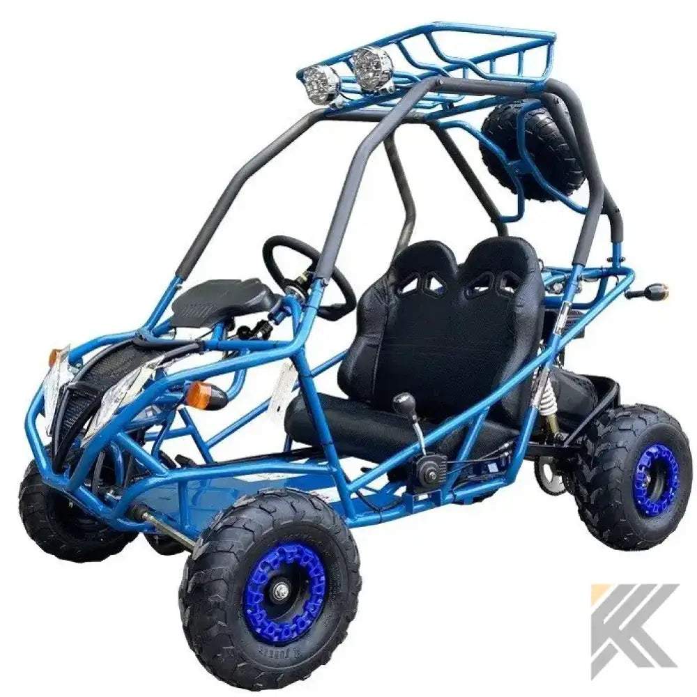 Dongfang DF200GVA Falcon Jr. Children's Go-Kart Buggy, 4-Stroke 196cc Kryptex Golf Carts