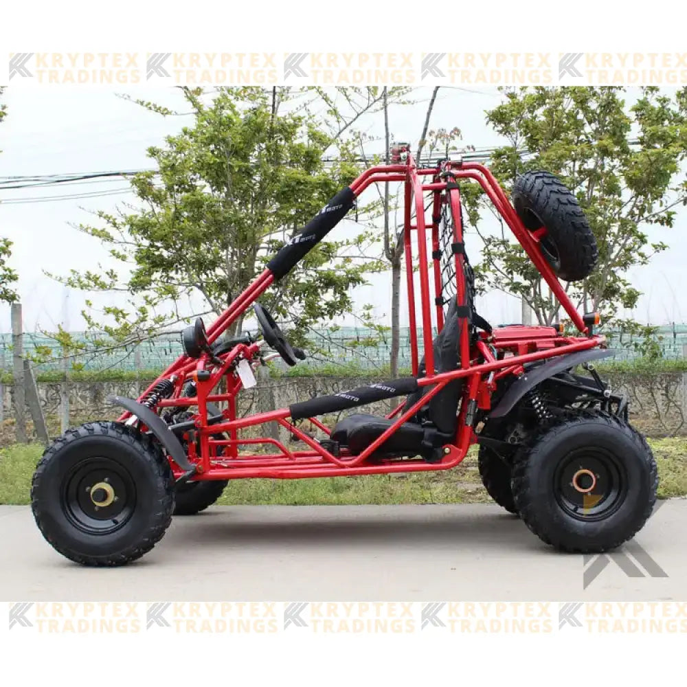 DongFang Spider 200 Adult Go-Kart Buggy Kryptex Golf Carts