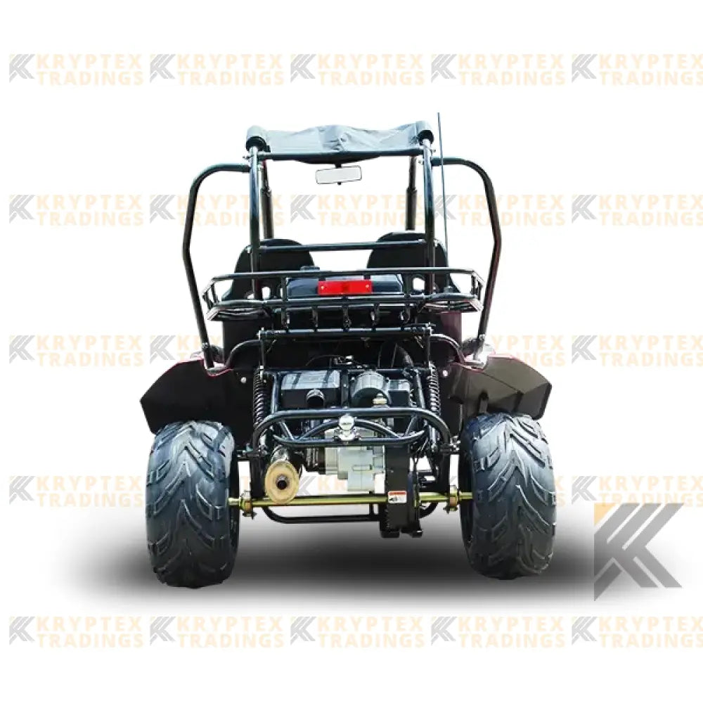 Trailmaster Blazer 200 Adult Go-Kart Buggy Kryptex Golf Carts