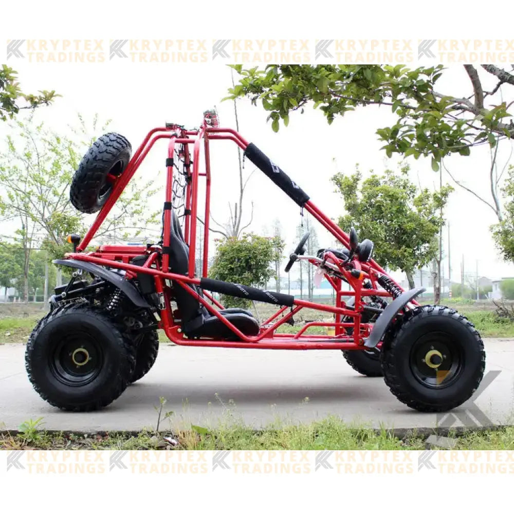 DongFang Spider 200 Adult Go-Kart Buggy Kryptex Golf Carts