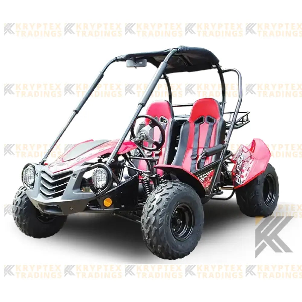 Trailmaster Blazer 200 Adult Go-Kart Buggy Kryptex Golf Carts