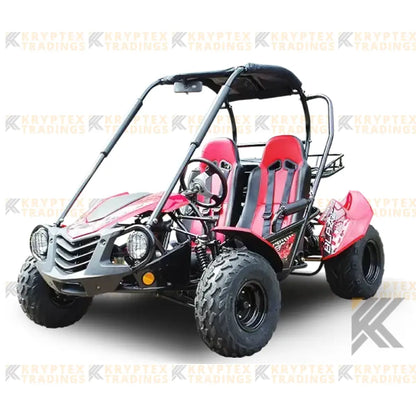 Trailmaster Blazer 200 Adult Go-Kart Buggy Kryptex Golf Carts