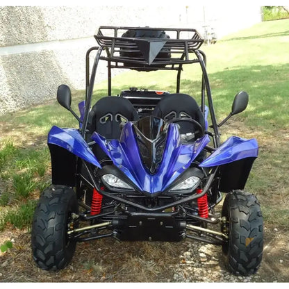 TER-R 125 Children's Go-Kart Buggy, 125cc 4 Stroke Kryptex Golf Carts