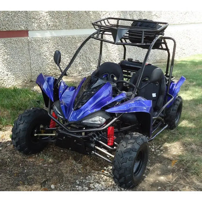 TER-R 125 Children's Go-Kart Buggy, 125cc 4 Stroke Kryptex Golf Carts