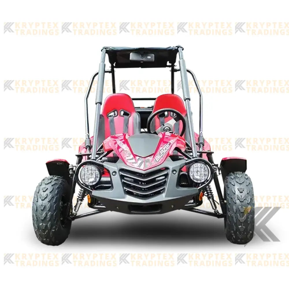 Trailmaster Blazer 200 Adult Go-Kart Buggy Kryptex Golf Carts