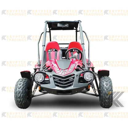 Trailmaster Blazer 200 Adult Go-Kart Buggy Kryptex Golf Carts