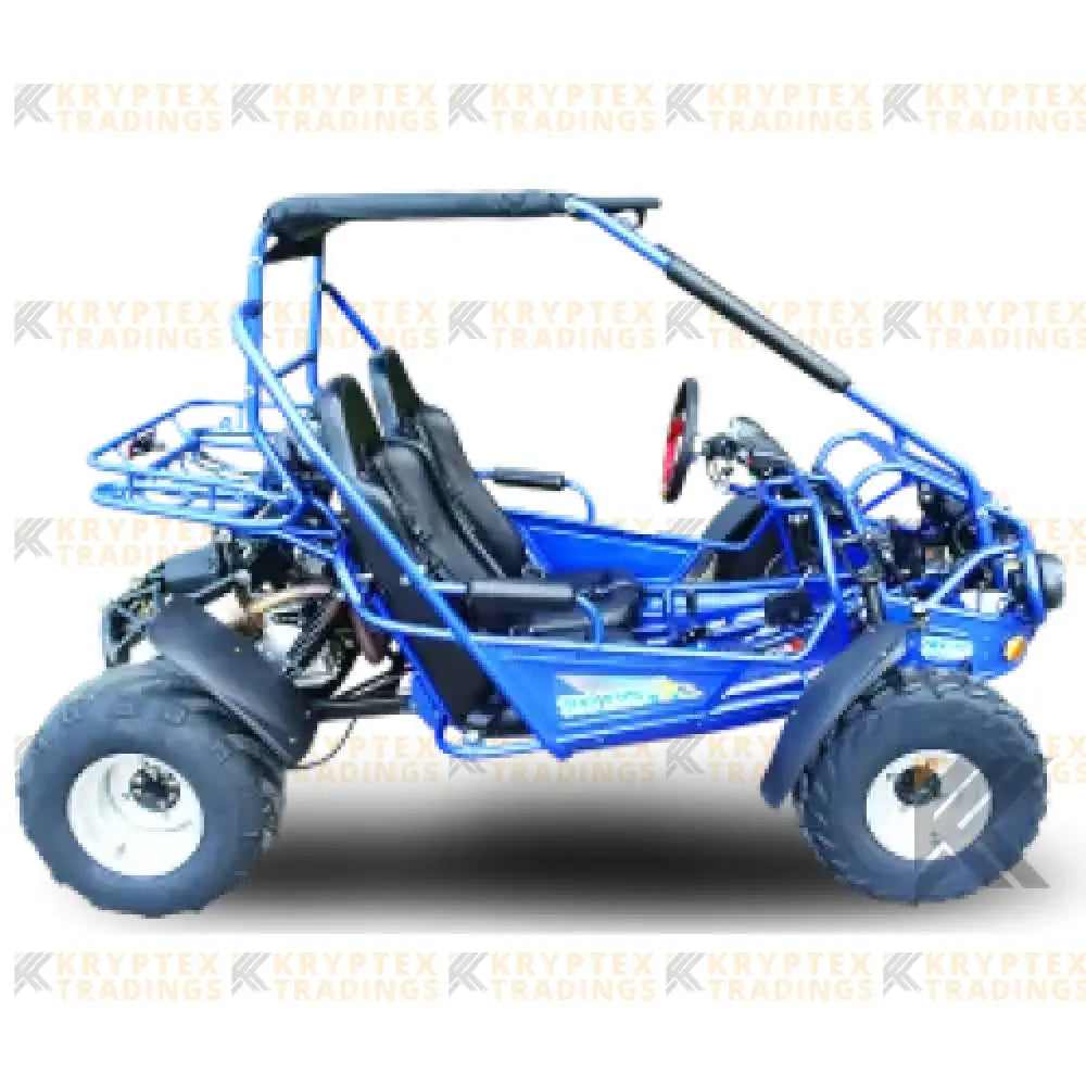 Trailmaster 300 XRS EFI Adult Go-Kart Buggy Kryptex Golf Carts
