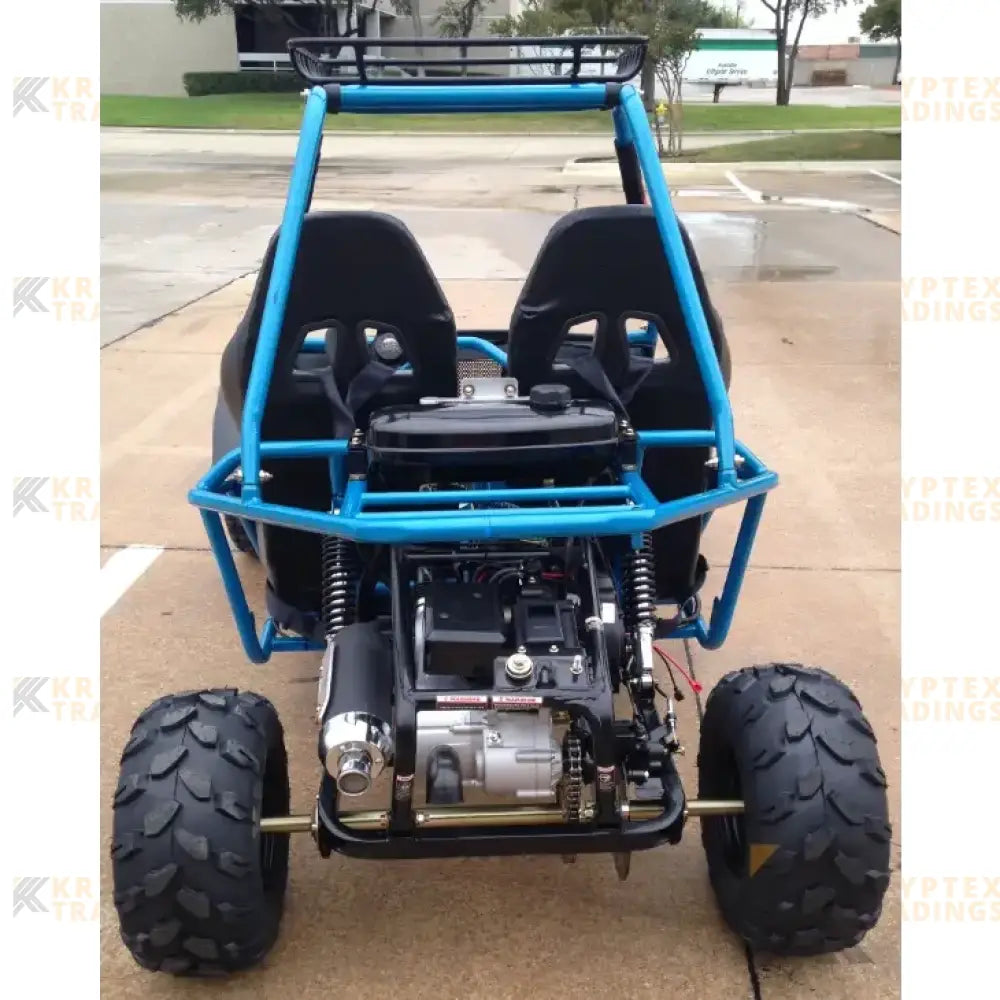 Kandi Batman 200 GKM Adult Go-Kart Buggy Kryptex Golf Carts