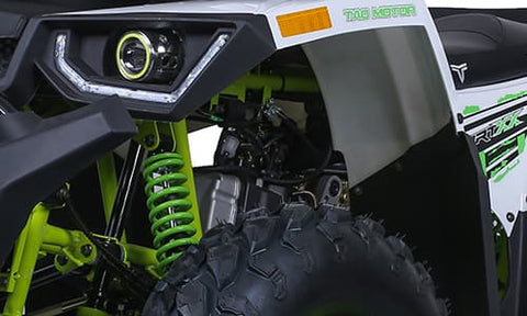 Tao Tao Raptor 200G Adult ATV