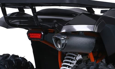 Tao Tao Raptor 200G Adult ATV