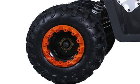 Tao Tao Raptor 200G Adult ATV