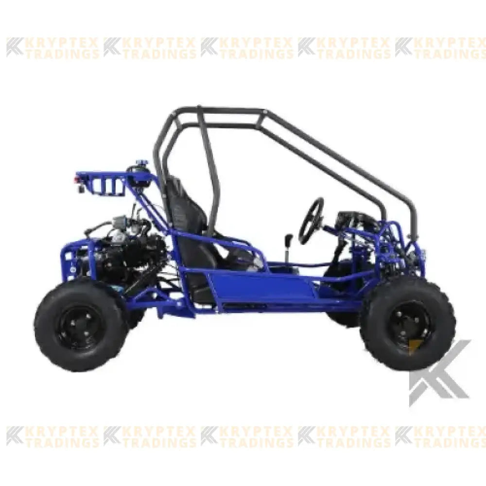 Tao Tao GK110 Children's Go-Kart Buggy, 110cc 4 Stroke Kryptex Golf Carts