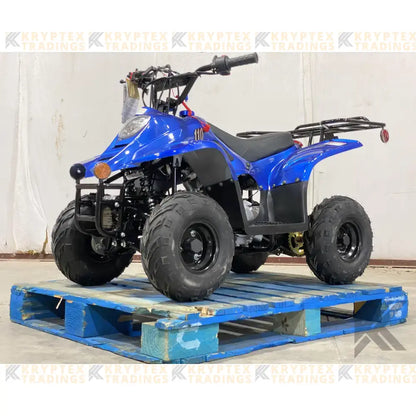 TaoMotor Boulder 110cc Kids ATV Kryptex Golf Carts