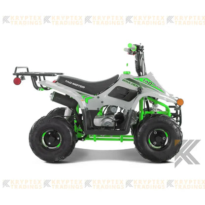TaoMotor Boulder X 110cc Kids ATV Kryptex Golf Carts