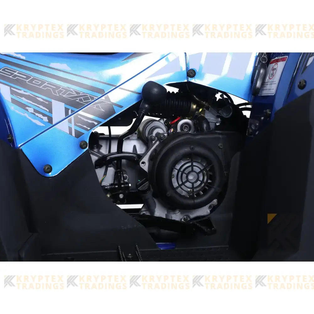 TaoMotor G200cc Fully Loaded ATV Kryptex Golf Carts