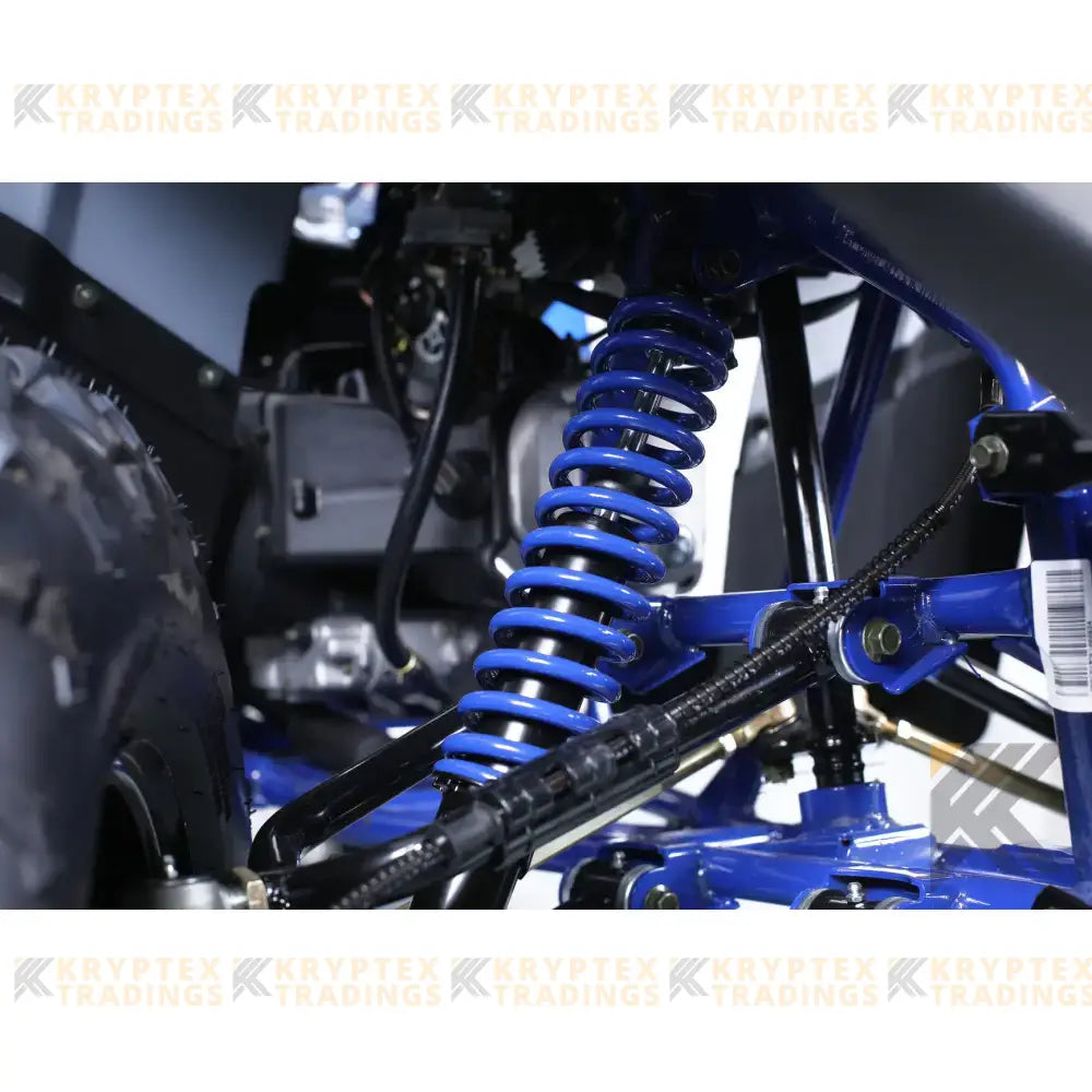 TaoMotor G200cc Fully Loaded ATV Kryptex Golf Carts
