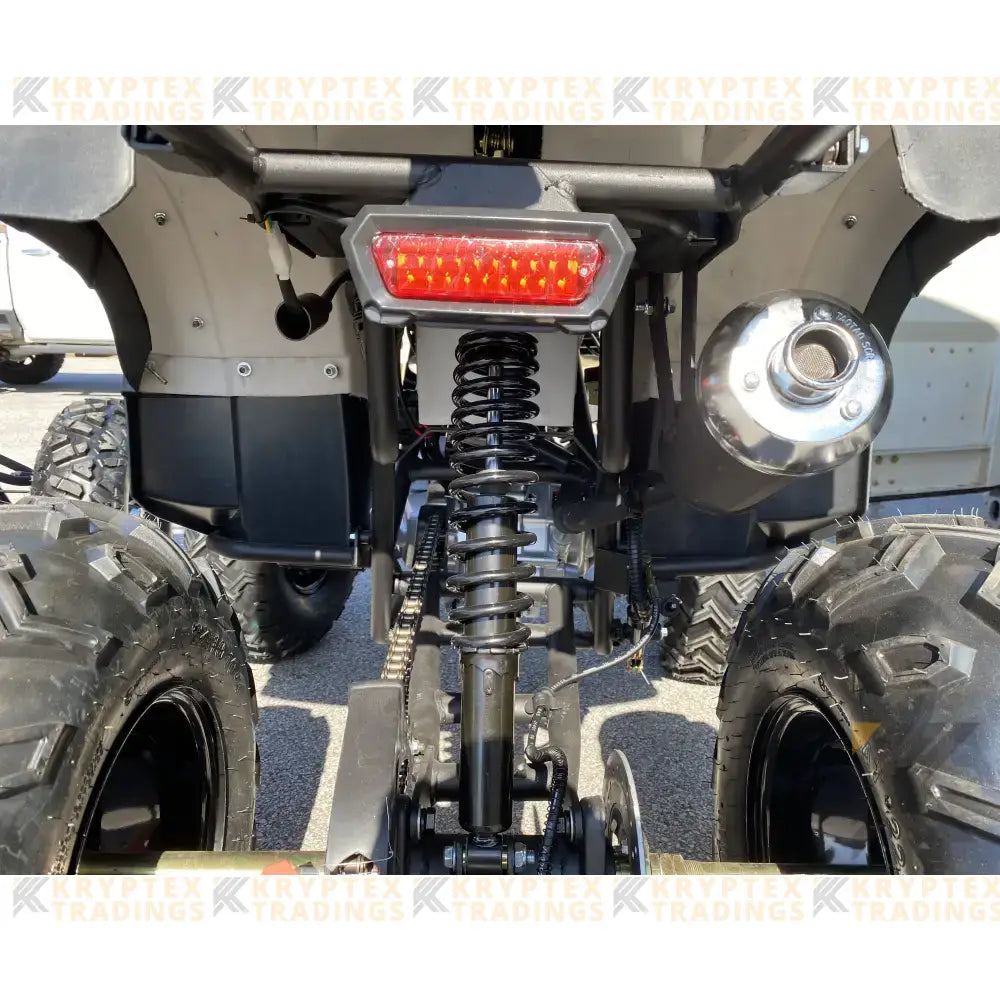 TaoMotor Rhino 250 ATV Kryptex Golf Carts