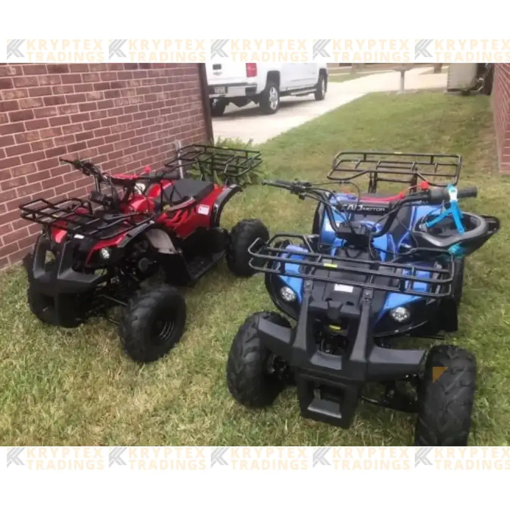 TaoMotor Spiker 110cc Kids ATV with Reverse Kryptex Golf Carts