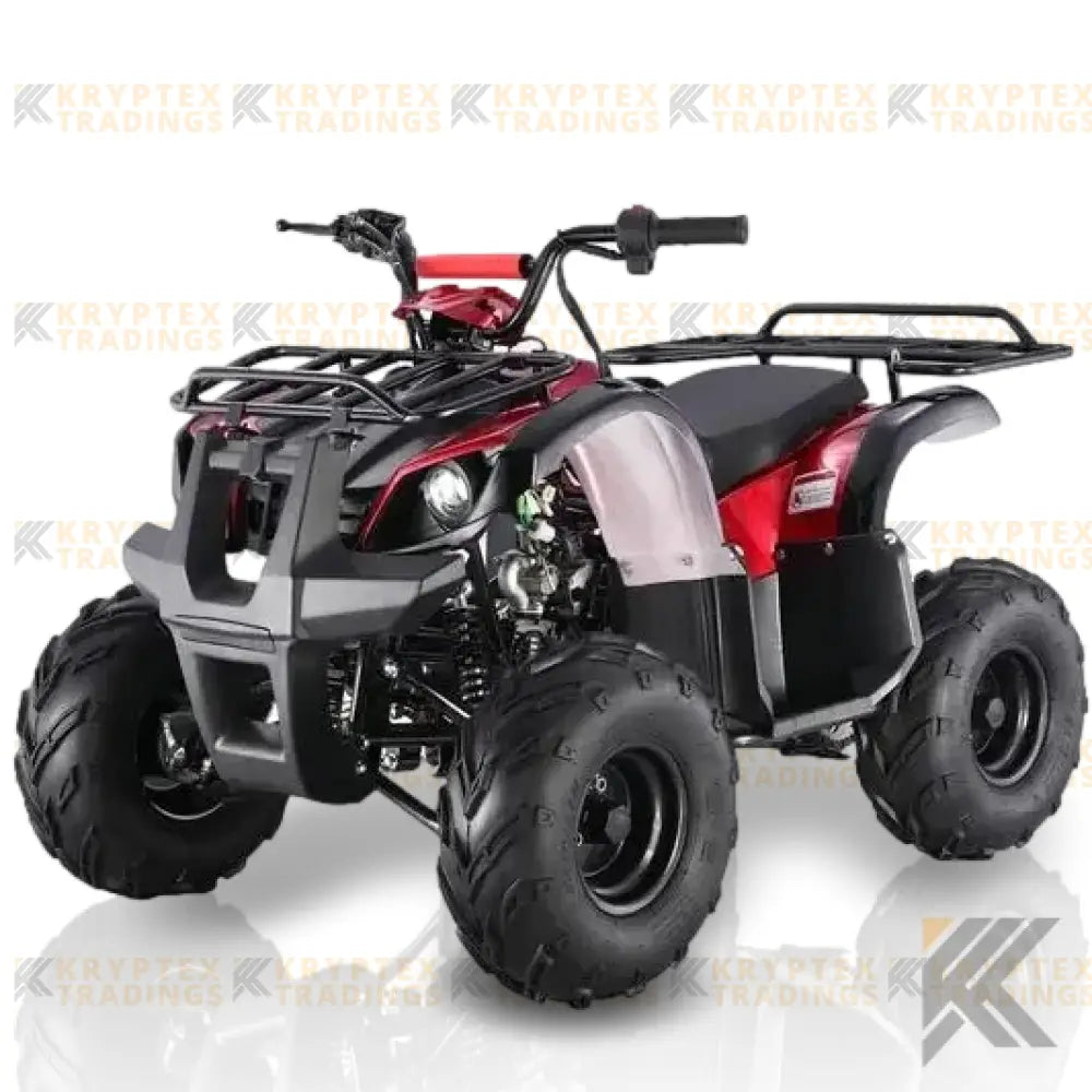 TaoMotor Spiker 110cc Kids ATV with Reverse Kryptex Golf Carts