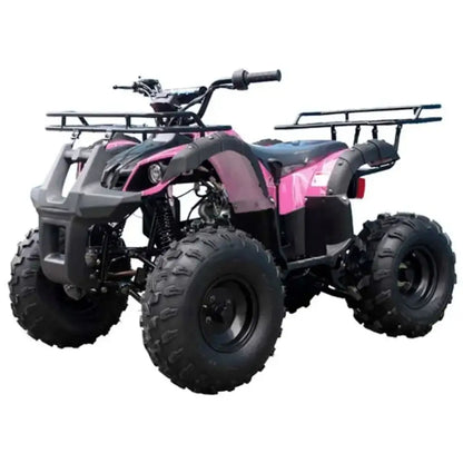 TaoMotor Trooper T125 Kids ATV Kryptex Golf Carts
