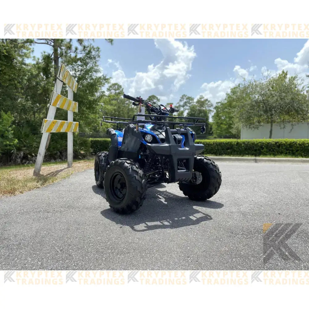 TaoMotor Trooper T125 Kids ATV Kryptex Golf Carts