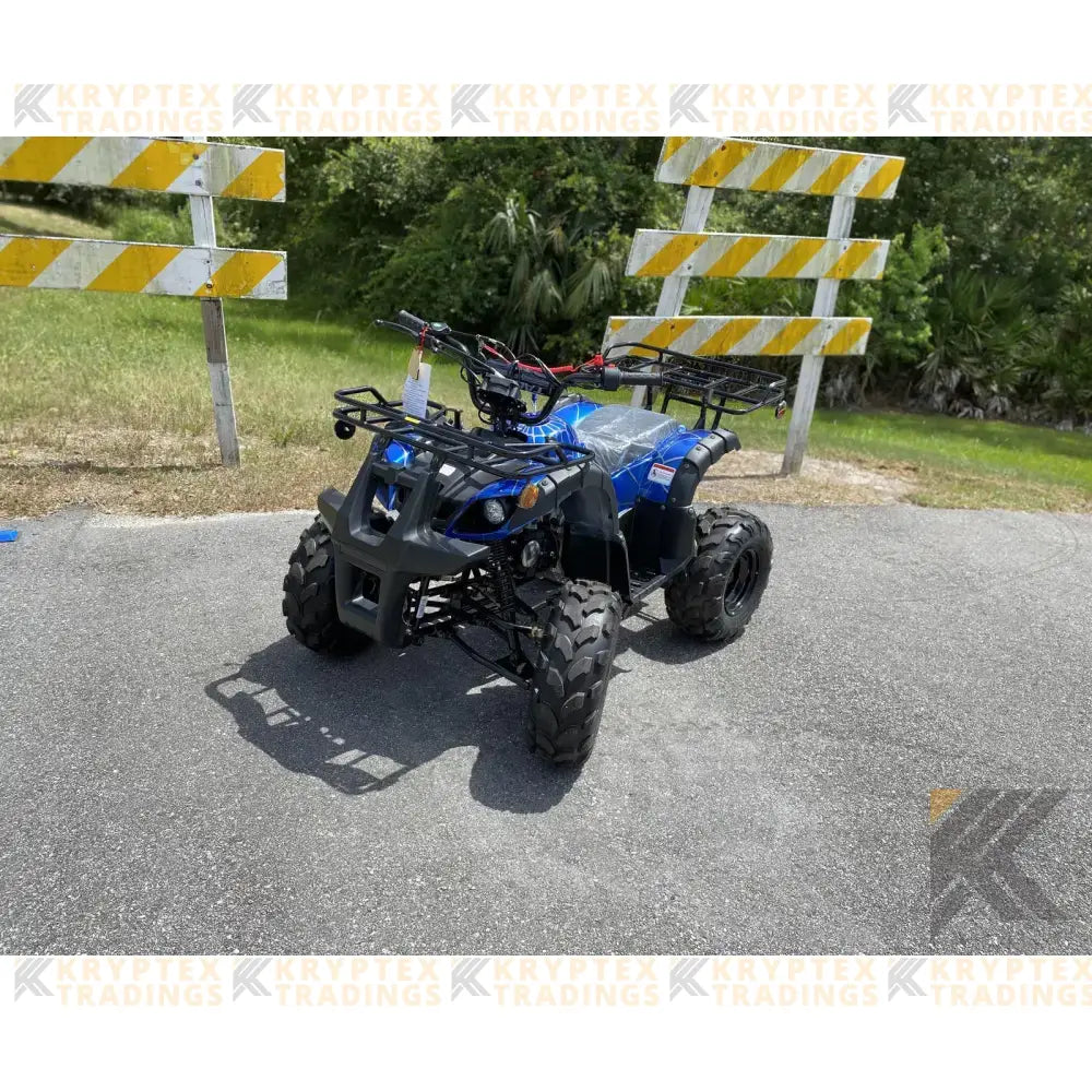TaoMotor Trooper T125 Kids ATV Kryptex Golf Carts