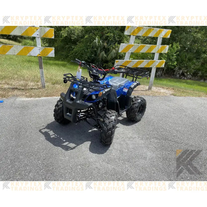 TaoMotor Trooper T125 Kids ATV Kryptex Golf Carts