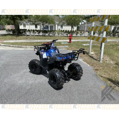 TaoMotor Trooper T125 Kids ATV Kryptex Golf Carts