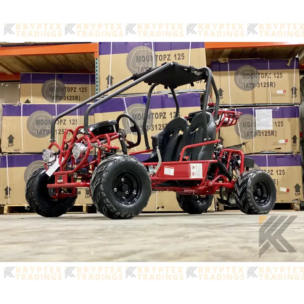 TaoMotor 107cc Kids Go Kart Kryptex Golf Carts