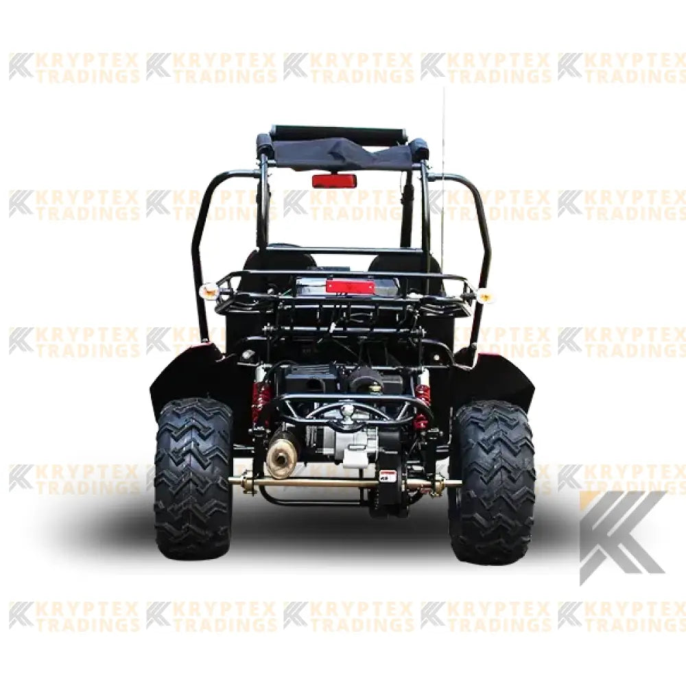 Trailmaster Blazer 200X Adult Go-Kart Buggy Kryptex Golf Carts