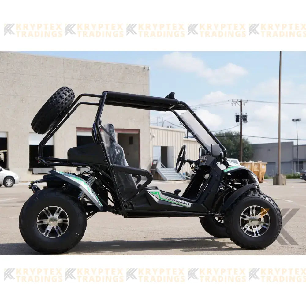Trailmaster Cheetah 200X Adult Go-Kart Buggy Kryptex Golf Carts