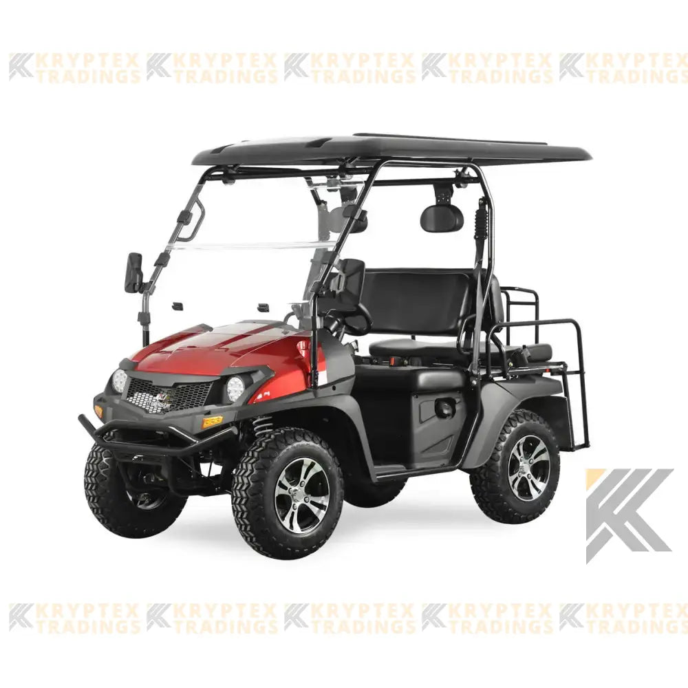 Trailmaster Taurus 200GX Golf Cart Kryptex Golf Carts
