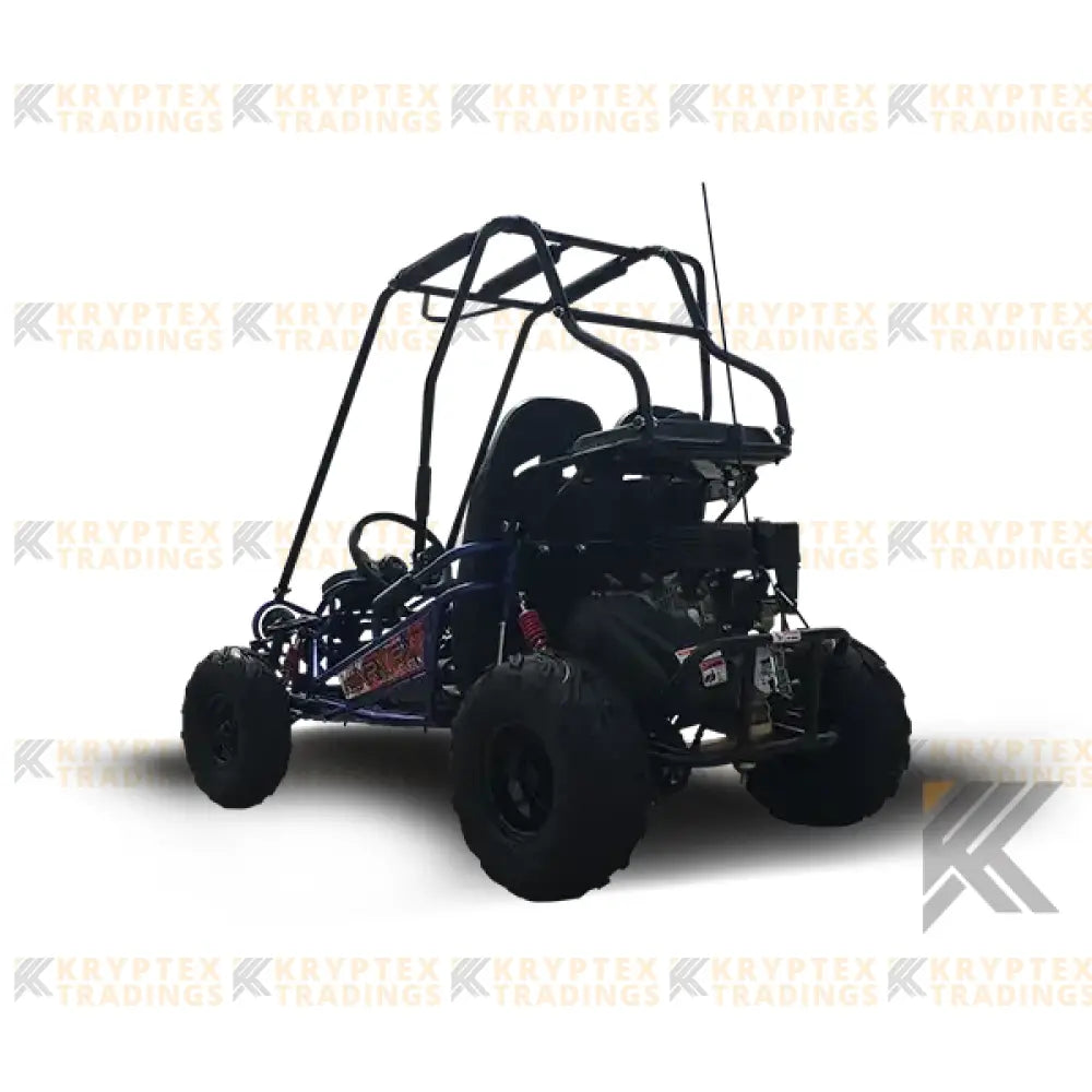Trailmaster Mini XRX/R+ Children's Go-Kart Buggy, 4-Stroke 163cc Kryptex Golf Carts