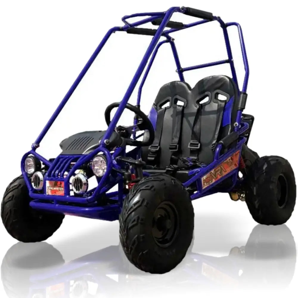 TrailMaster Mini XRX+ Kids Go Kart Kryptex Golf Carts