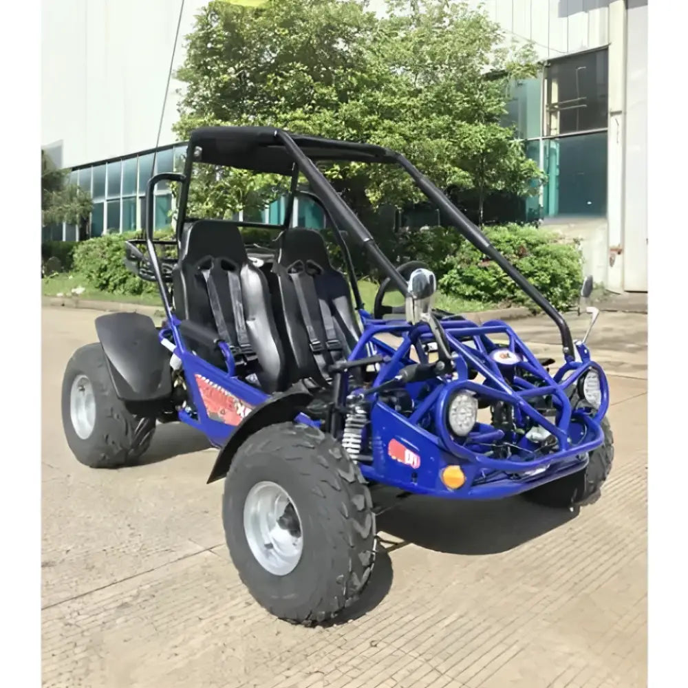 Trailmaster 200 XRS EFI Adult Go-Kart Buggy Kryptex Golf Carts