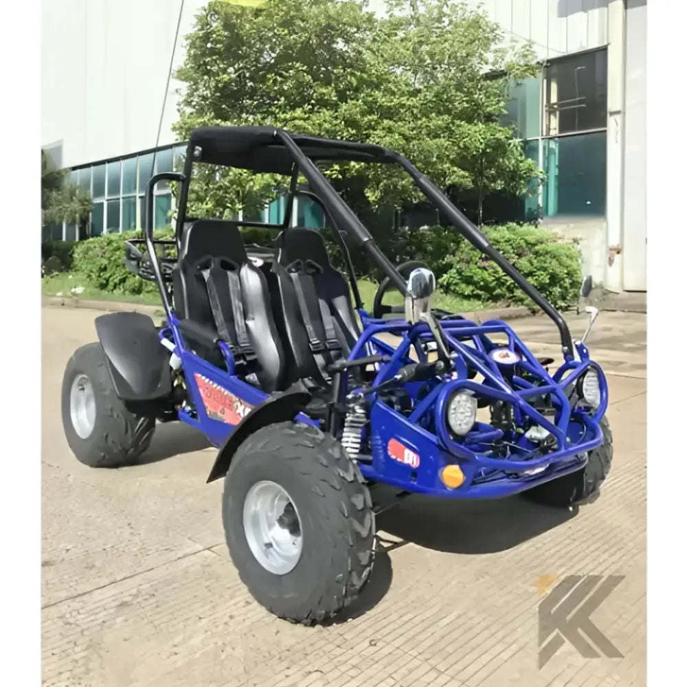 Trailmaster 200 XRS EFI Adult Go-Kart Buggy Kryptex Golf Carts