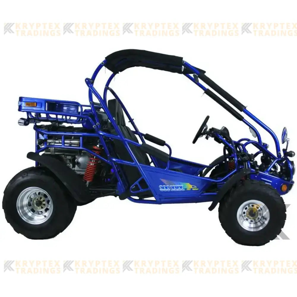 Trailmaster 300 XRX EFI Adult Go-Kart Buggy Kryptex Golf Carts