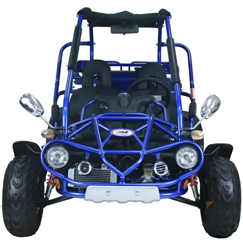 Trailmaster 300 XRX EFI Adult Go-Kart Buggy Kryptex Golf Carts