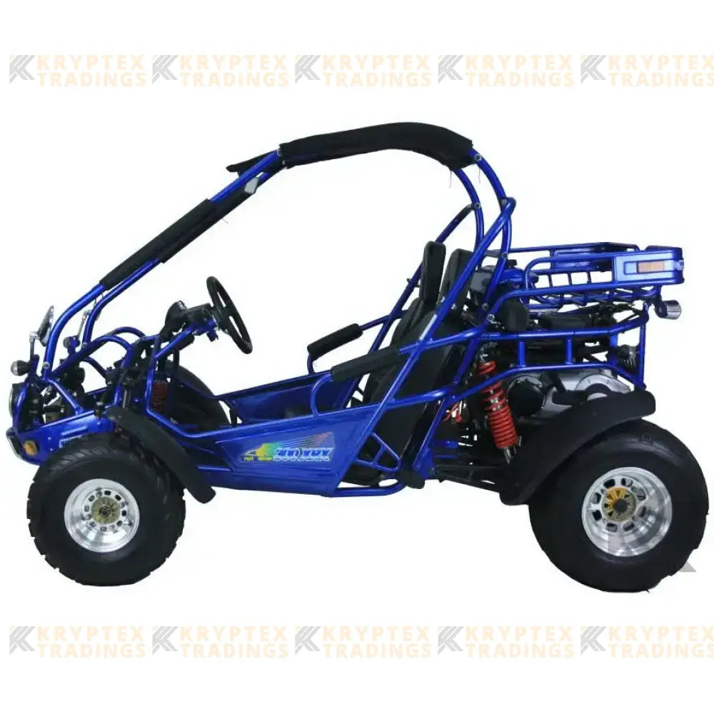 Trailmaster 300 XRX EFI Adult Go-Kart Buggy Kryptex Golf Carts