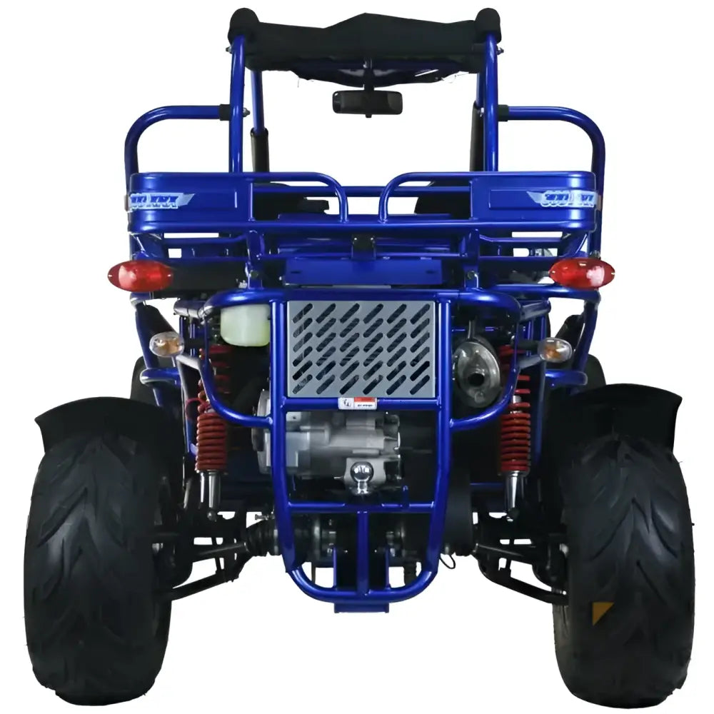 Trailmaster 300 XRX EFI Adult Go-Kart Buggy Kryptex Golf Carts