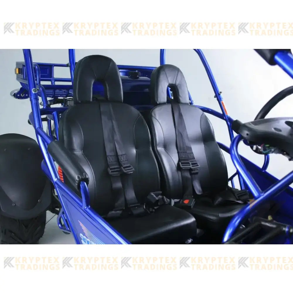 Trailmaster 300 XRX EFI Adult Go-Kart Buggy Kryptex Golf Carts